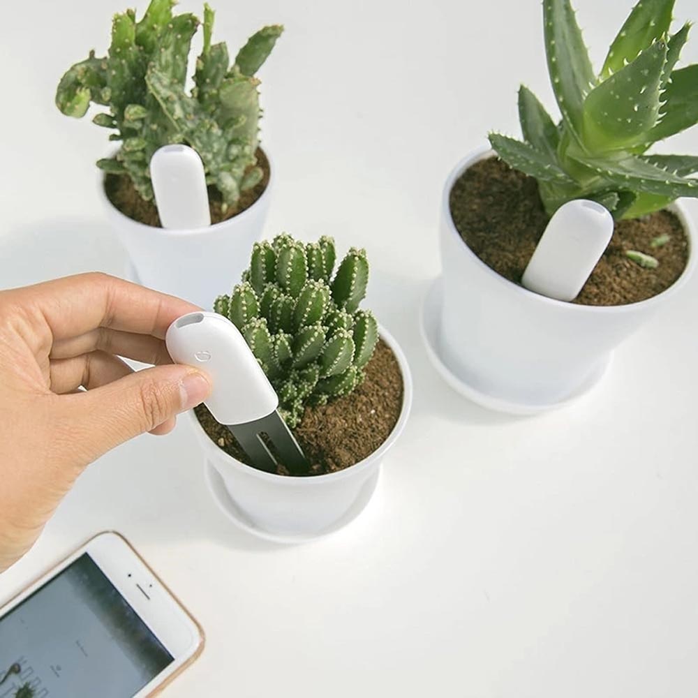 flower-care-hhccjcy01hhcc-05.jpg